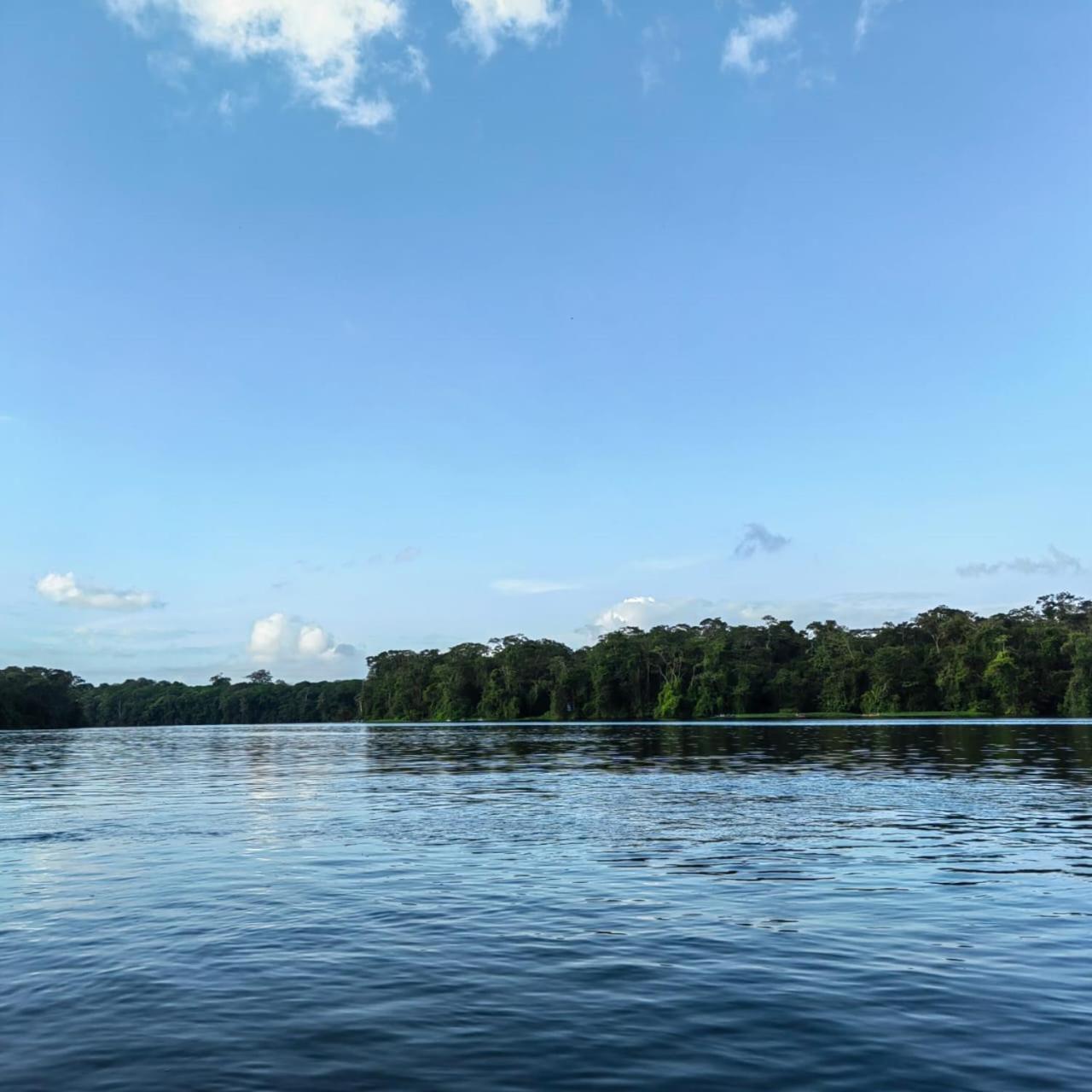 Tortuguero Villas Exteriér fotografie