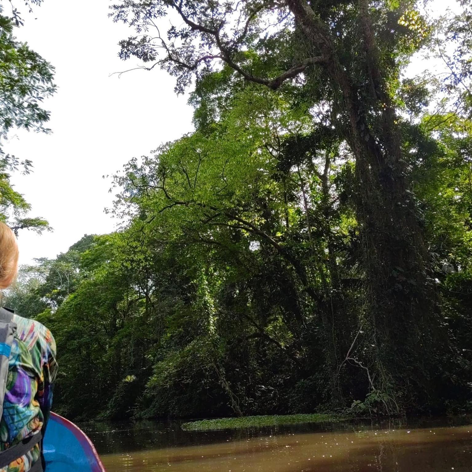Tortuguero Villas Exteriér fotografie