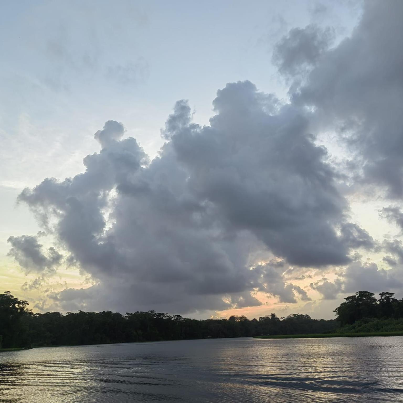 Tortuguero Villas Exteriér fotografie
