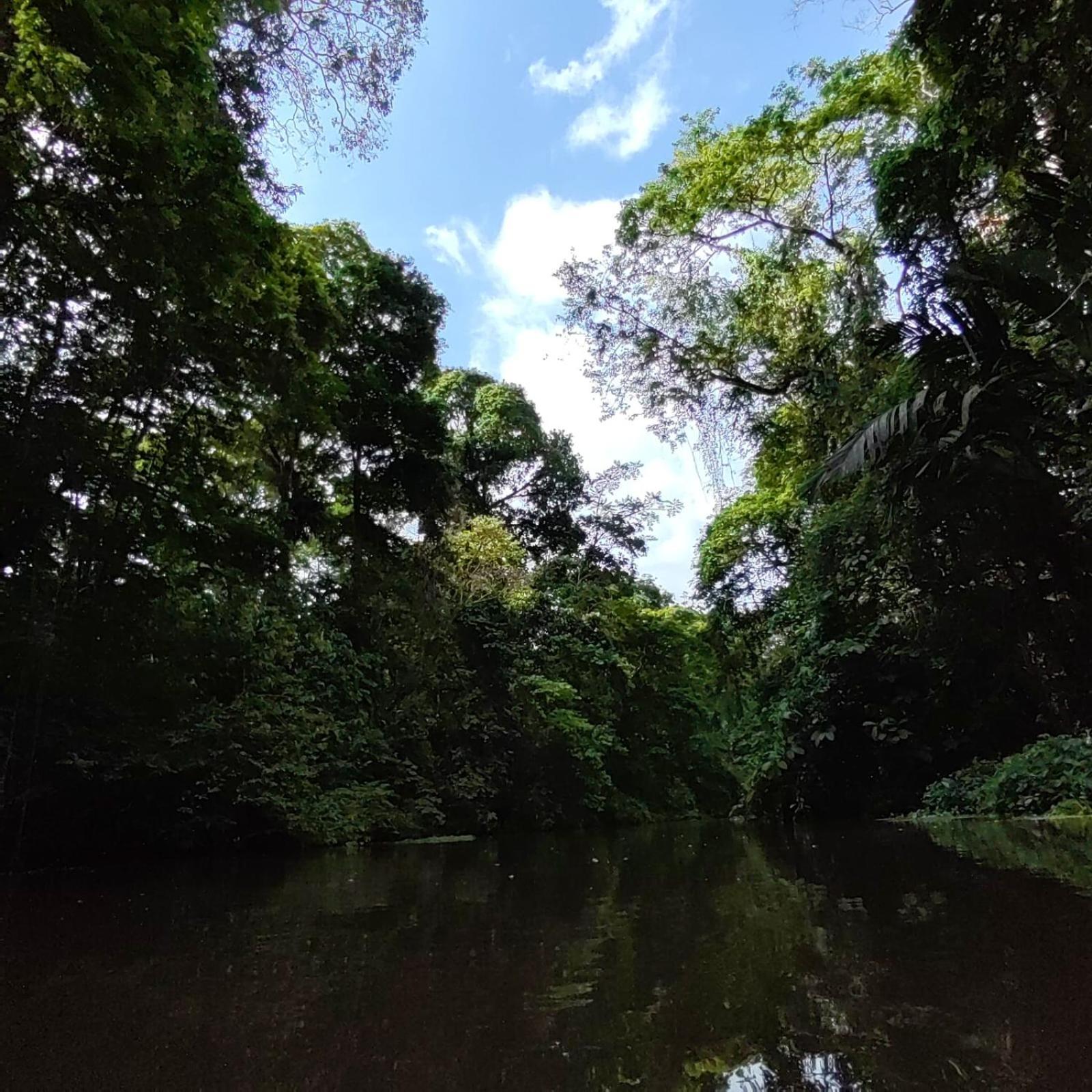 Tortuguero Villas Exteriér fotografie